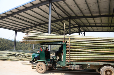 Shenzhen Magic Bamboo Industrial Co., Ltd. ligne de production du fabricant